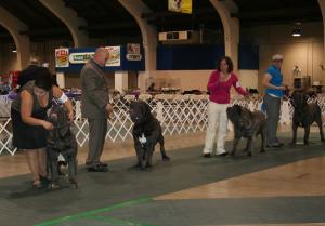 2010-Nationals-29