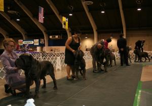 2010-Nationals-25