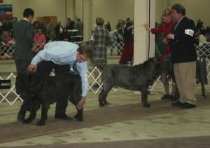 2009Nationals-46