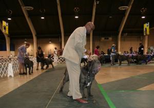2010-Nationals-35