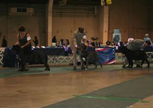 2010-Nationals-7