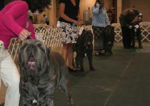 2010-Nationals-11