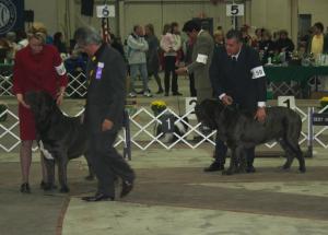 2009Nationals-50