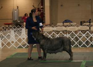 2010-Nationals-24