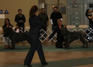 2010-Nationals-56