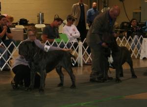 2010-Nationals-55