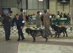 2009Nationals-51