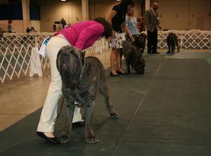 2010-Nationals-17