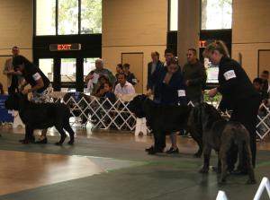 2010-Nationals-30
