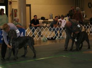 2010-Nationals-53
