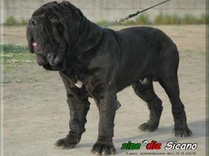 Sicano photo by Enrique,,,