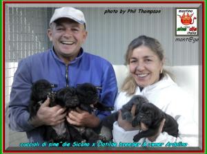 Cuccioli di sine^die Sicano x Clotilde proprietario Santolo Ardolino,,,,