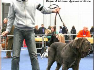 Int. Modena Vilardo Arke Kunon Agon,