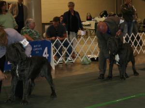 2010-Nationals-37