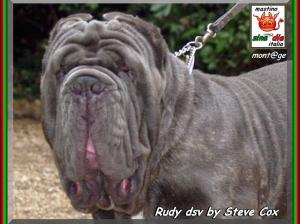 Rudy dsv by Steve Cox