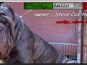 Rudy dello Stradone,