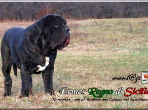 Ermes 27 December 2009,,,,,