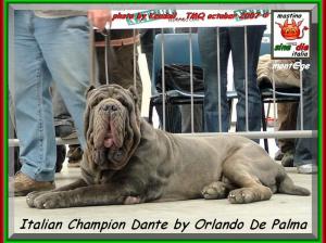 Dante by Orlando De Palma new italian champion sine^die montage,,,-