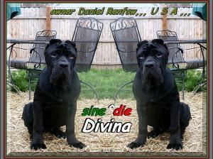 Divina sine^die,,, owner Daniel renfow,,,