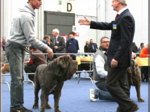 Int. Modena Vilardo Arke Kunon Agon