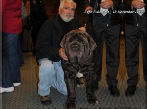 Expo Eukanuba California Ch. Illimani Tiberio..