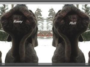 Ronny Phil & son