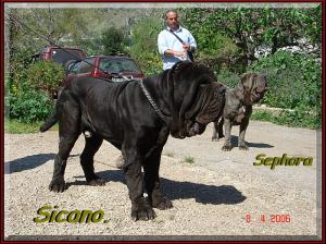 Sicano Sephora & Salvo