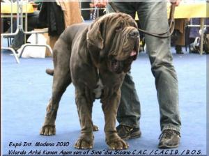Int. Modena Vilardo Arke Kunon Agon,,