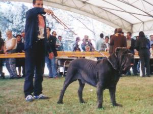 rasc