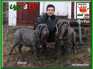 Ugo & Company,,, Gaia Akhenaton,,,