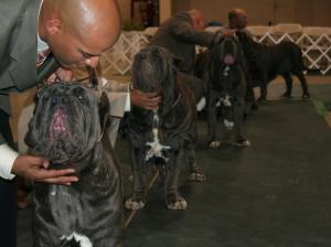 2010-Nationals-36