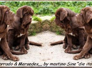 Korrado e Mersedes by Sine^die