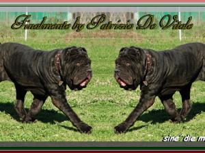 Finalmente by Patrizio De Vitale,,,