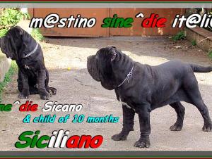 Siciliano & Sicano sine^die,,,