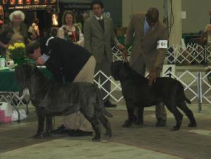 2009Nationals-62