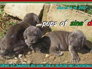 Children of sine^die Sephora by sine^die x Achille del Castellaccio,