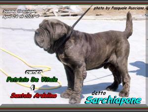 Sarchiapone,,, owner Patrizio & Santino,,, sine^die mont@ge,