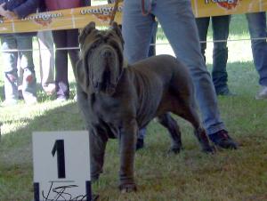 zeus1