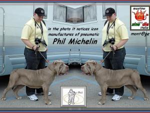 Pil Thompson by michelin