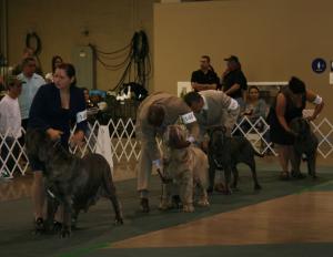 2010-Nationals-43