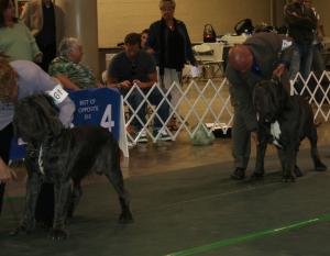 2010-Nationals-52