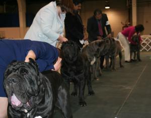 2010-Nationals-9