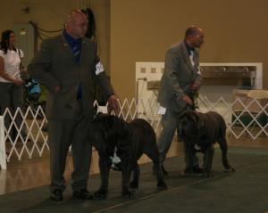 2010-Nationals-50