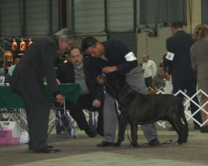 2009Nationals-33