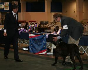 2010-Nationals-3