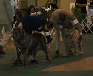 2010-Nationals-42