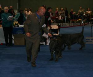 Eukanuba-5