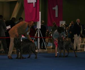 Eukanuba-3