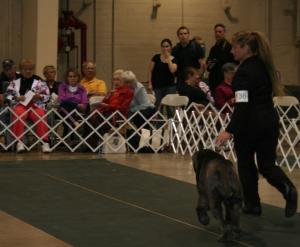 2010-Nationals-41