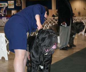 2010-Nationals-10